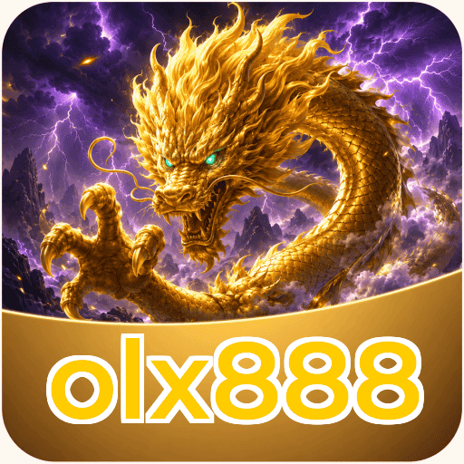 Expert Review olx888